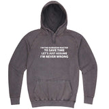  "I'm the Dungeon Master, Just Assume I'm Never Wrong" hoodie, 3XL, Vintage Zinc