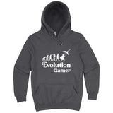  "Evolution Gamer - Fantasy" hoodie, 3XL, Storm