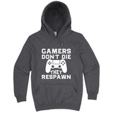  "Gamers Don't Die, They Respawn" hoodie, 3XL, Storm