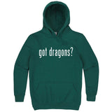  "Got Dragons?" hoodie, 3XL, Teal