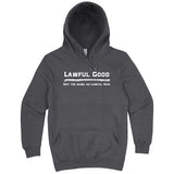  "Lawful Good - Not the same as Lawful Nice" hoodie, 3XL, Storm