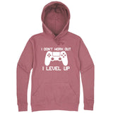  "I Don't Work Out, I Level Up - Video Games" hoodie, 3XL, Mauve