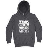  "Wands Don't Kill Wizards, Wizards Kill Wizards" hoodie, 3XL, Storm
